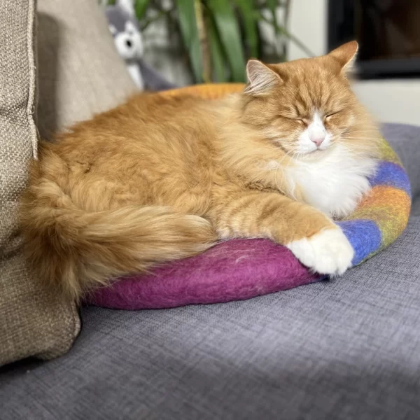 Fargeklatten Kattehule som katteseng med rød og hvit katt som sover på kattesengen