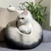 Sort og Hvit Kattehule med kattemus