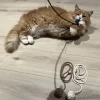 aktivitetsleke en katt leker med