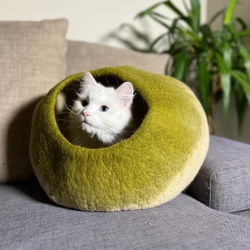 komfortabel kattehule i Beige og Grønt