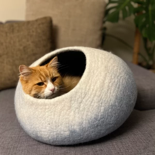 Lyseblå og hvit kattehule Lyseblå og hvit kattehule