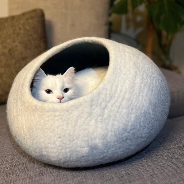 Lyseblå og hvit kattehule med nala Lyseblå og hvit kattehule med nala
